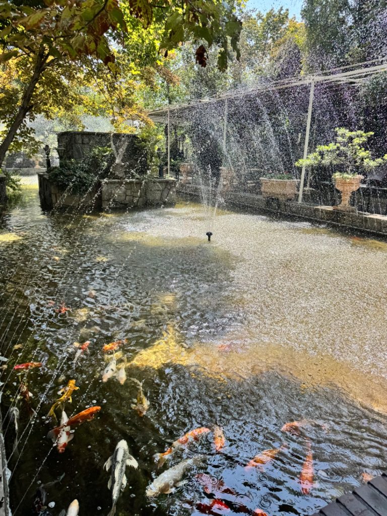 تصویر سالن